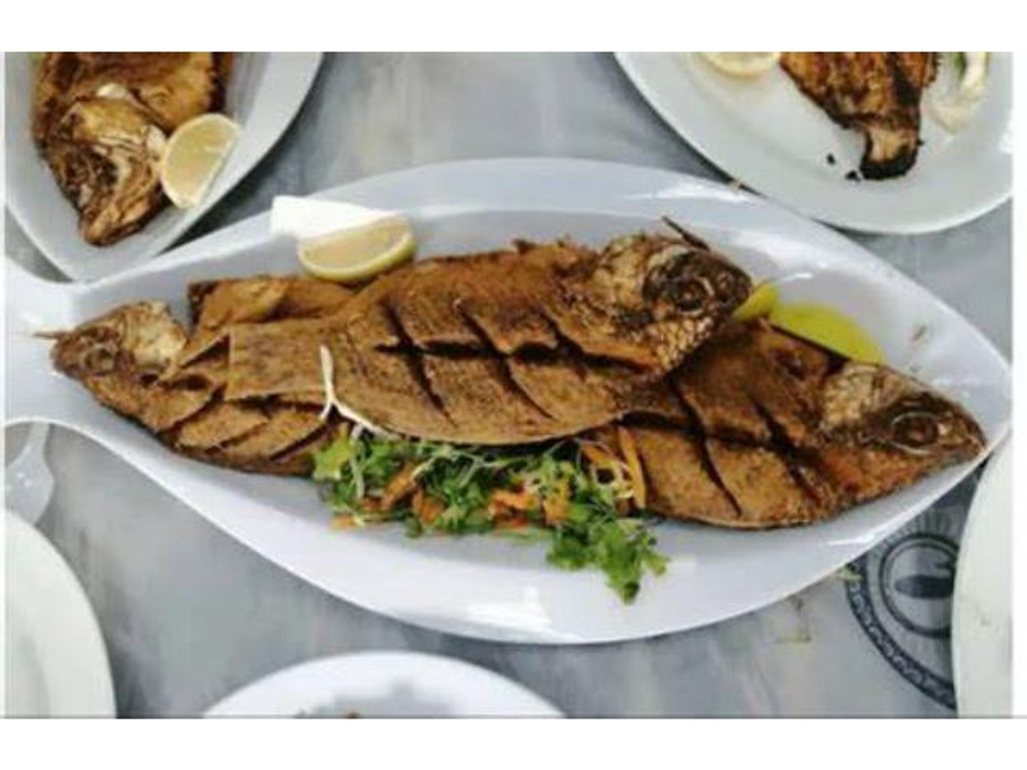 سمك سبيشال