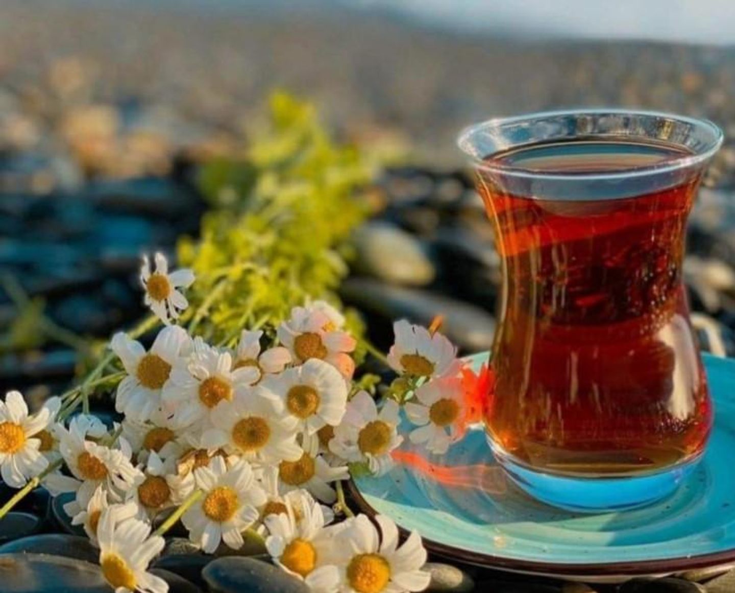 شاي أسود