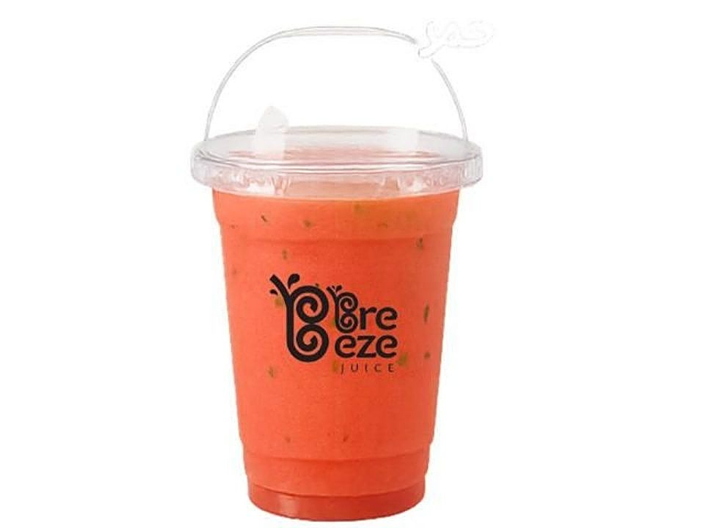 Watermelon Mint Smoothie