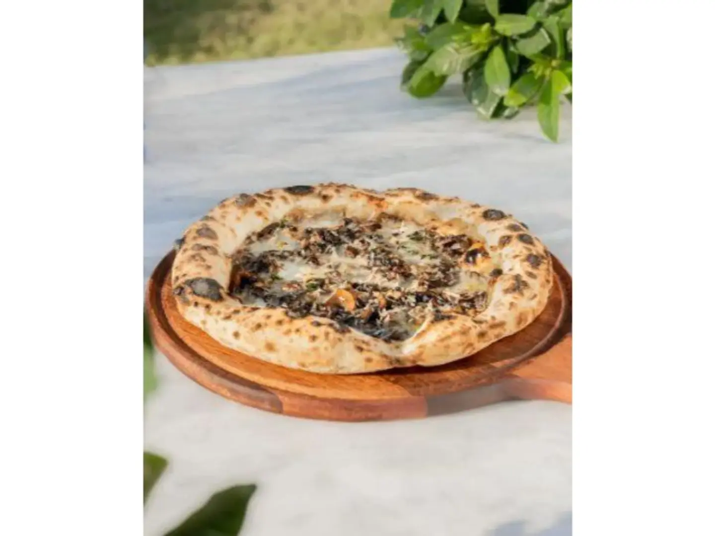 Truffle & Mushroom