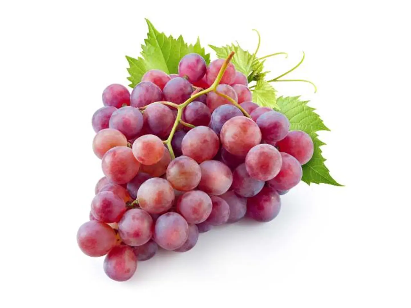 Red Grapes