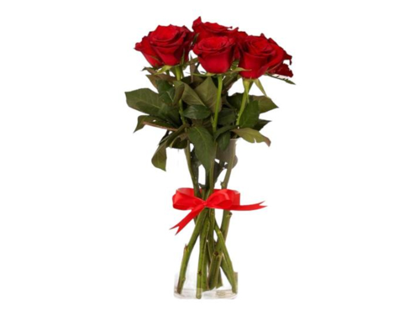 Red Rose Vase