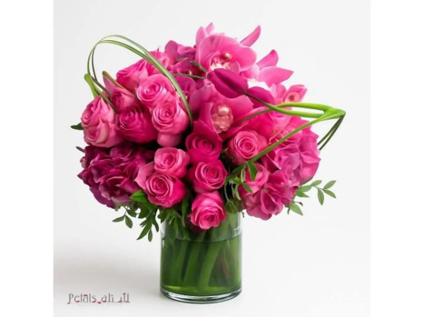 فخامة البتلة