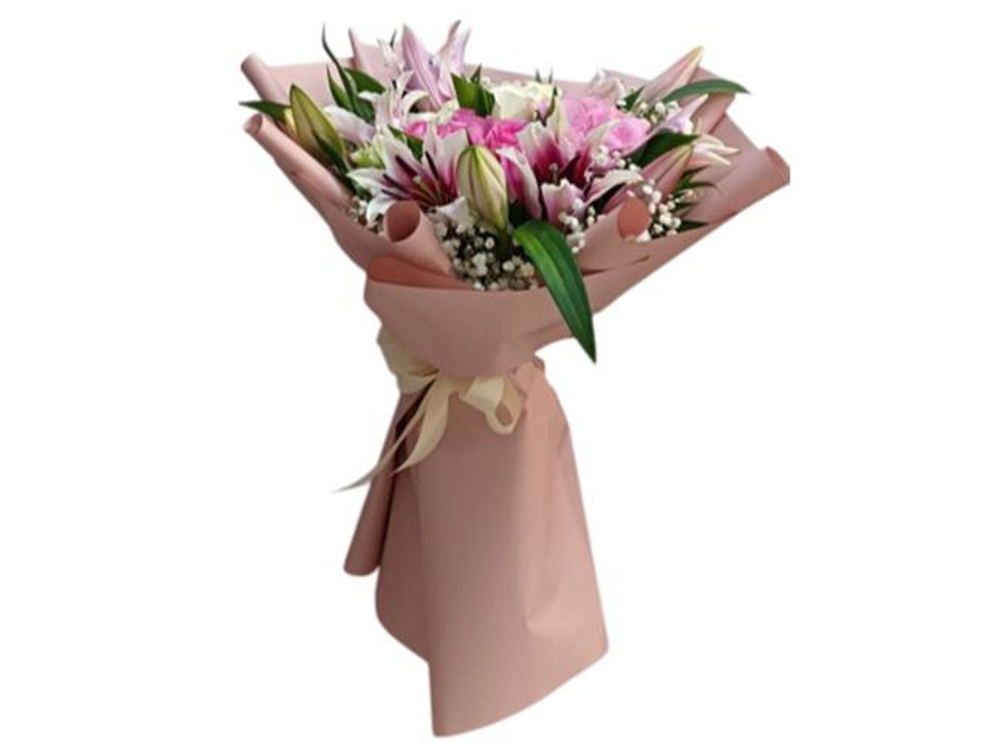 6070 Stargazer Delight