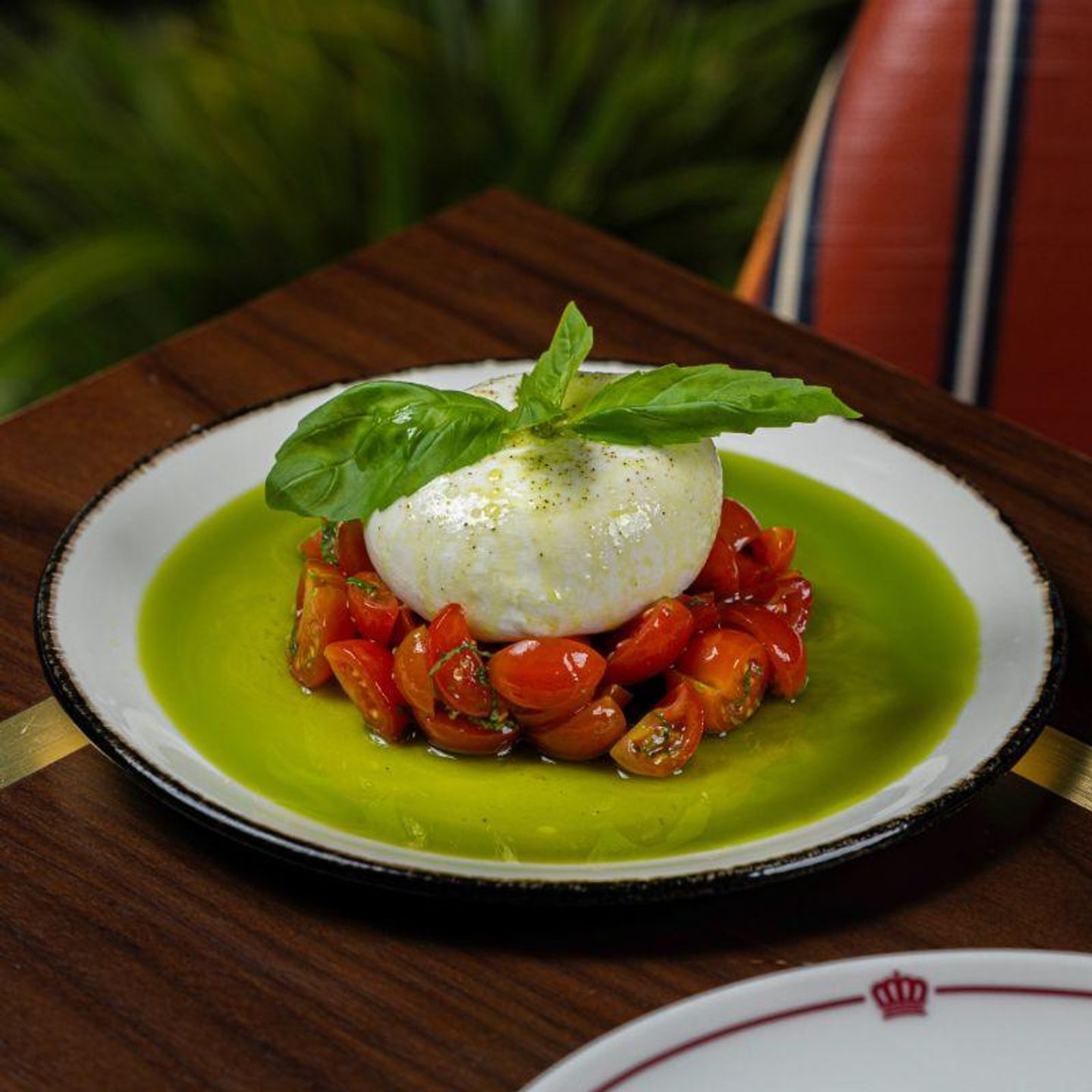 Burrata Salad