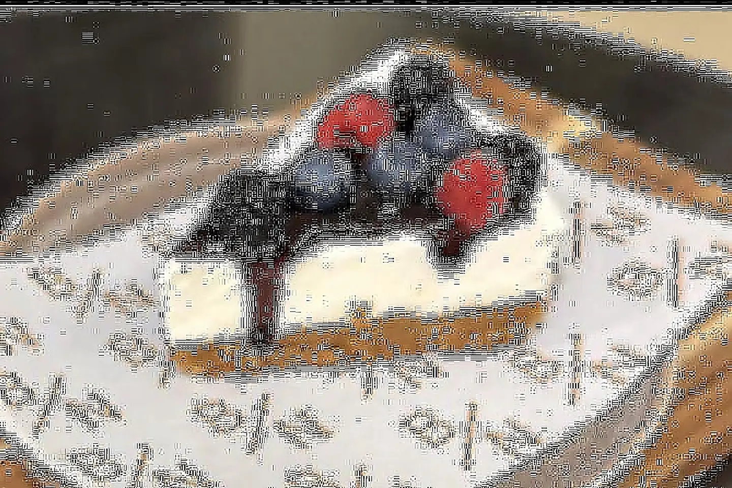 Mix Berries