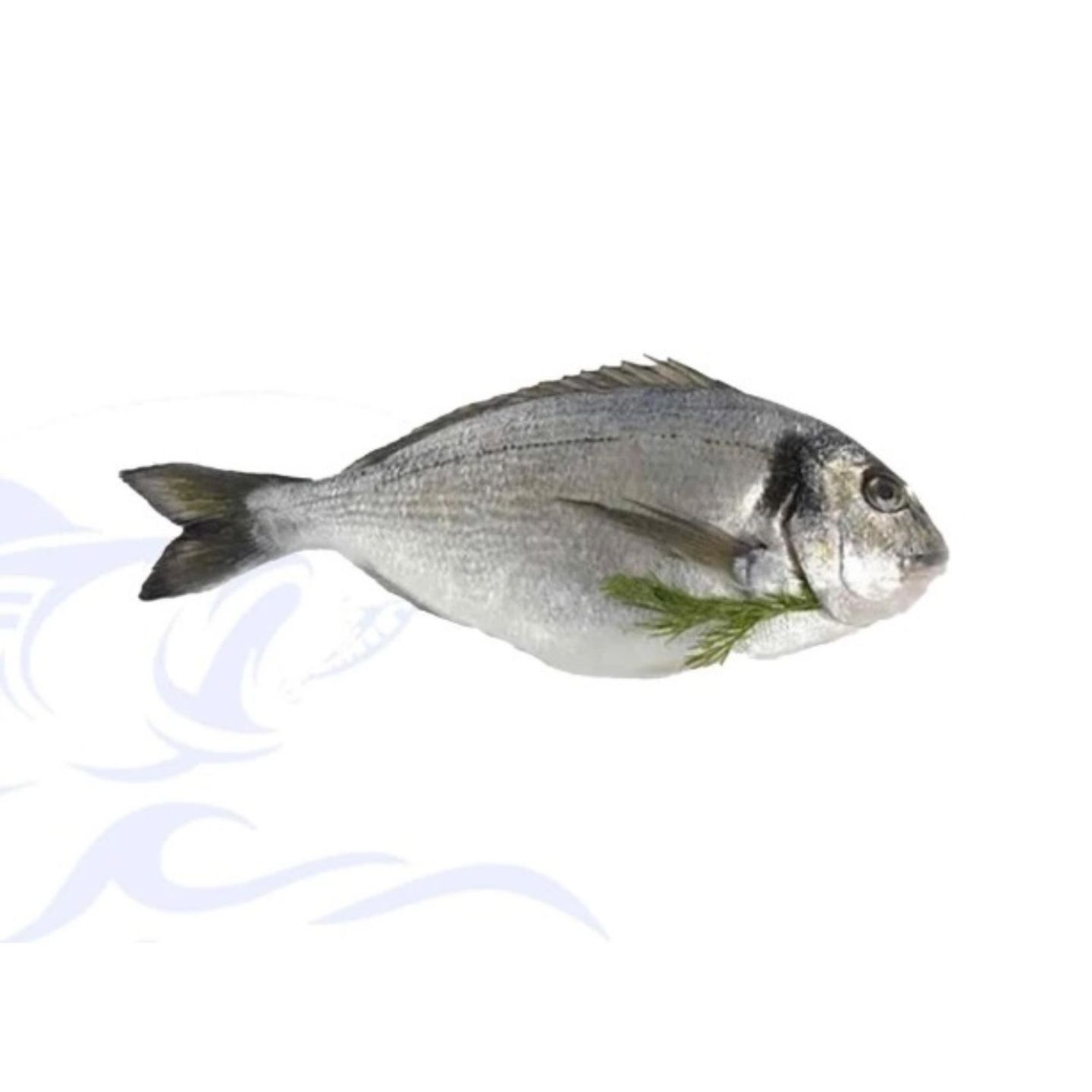 Denies Fish