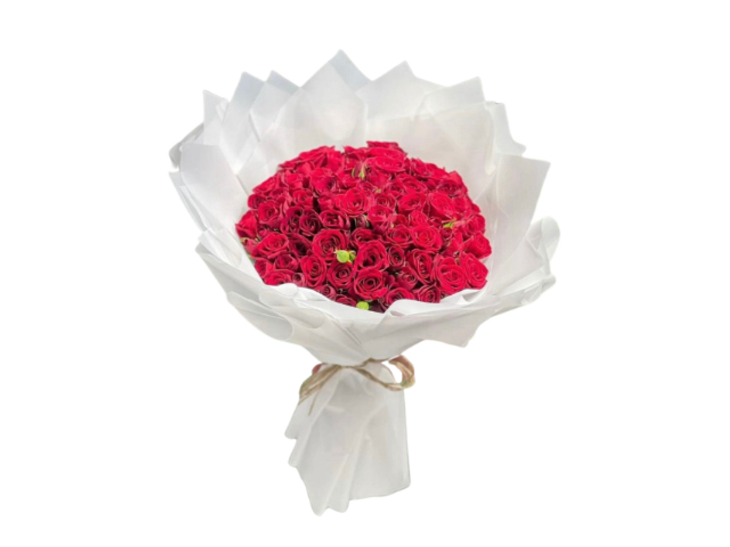 Touch Of Love Collar