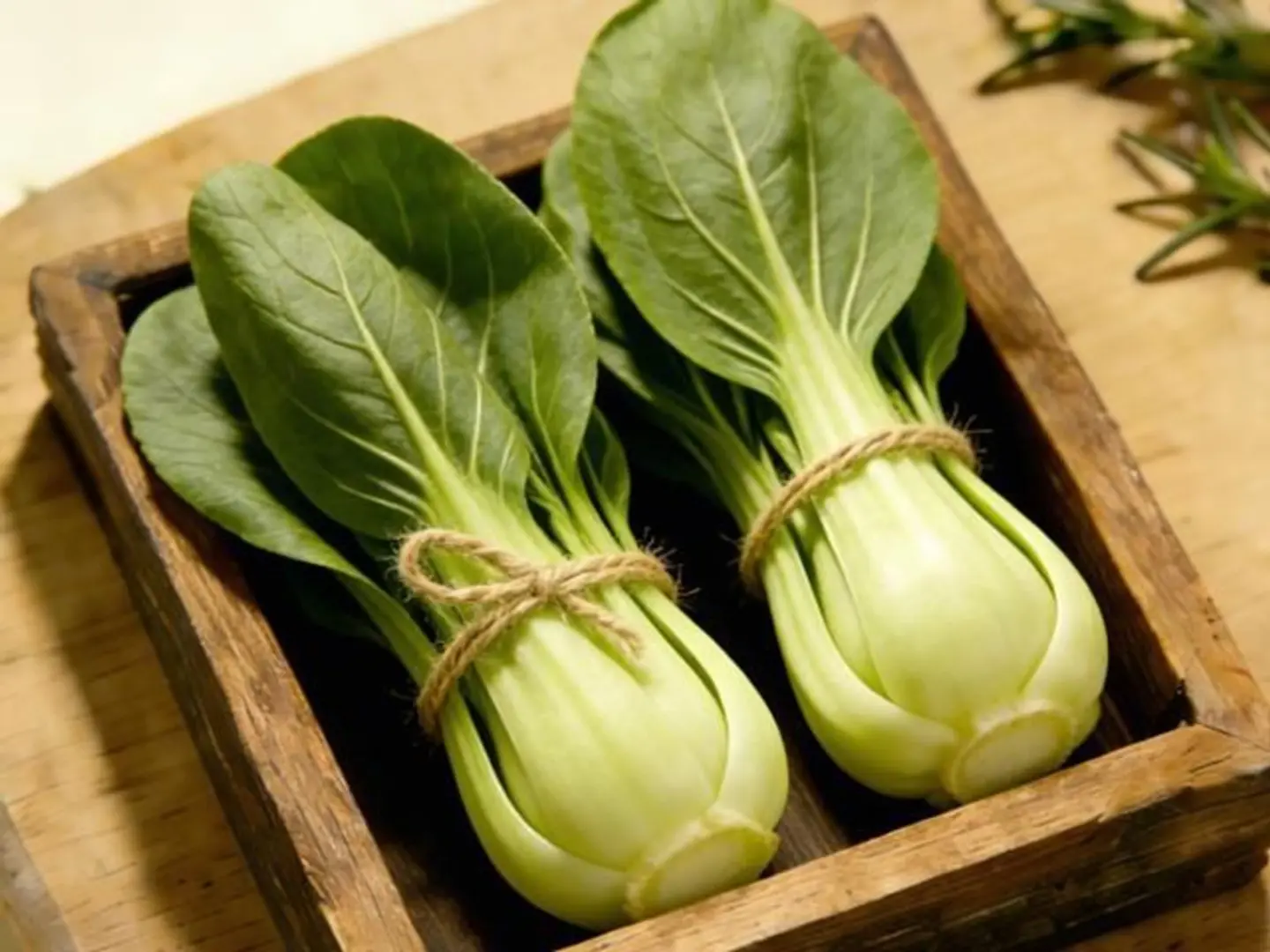 Chinese Cabbage