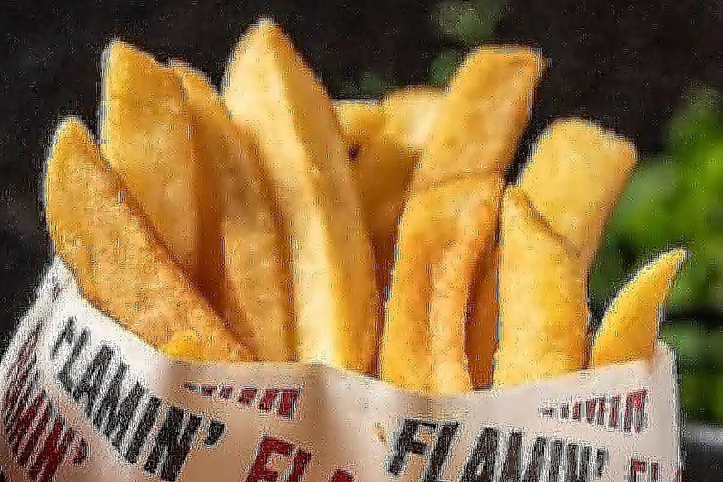 Regular Fries