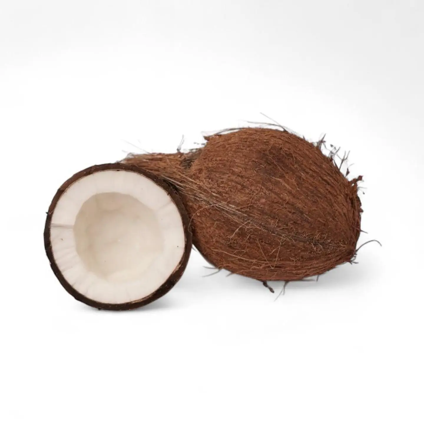 Coconut