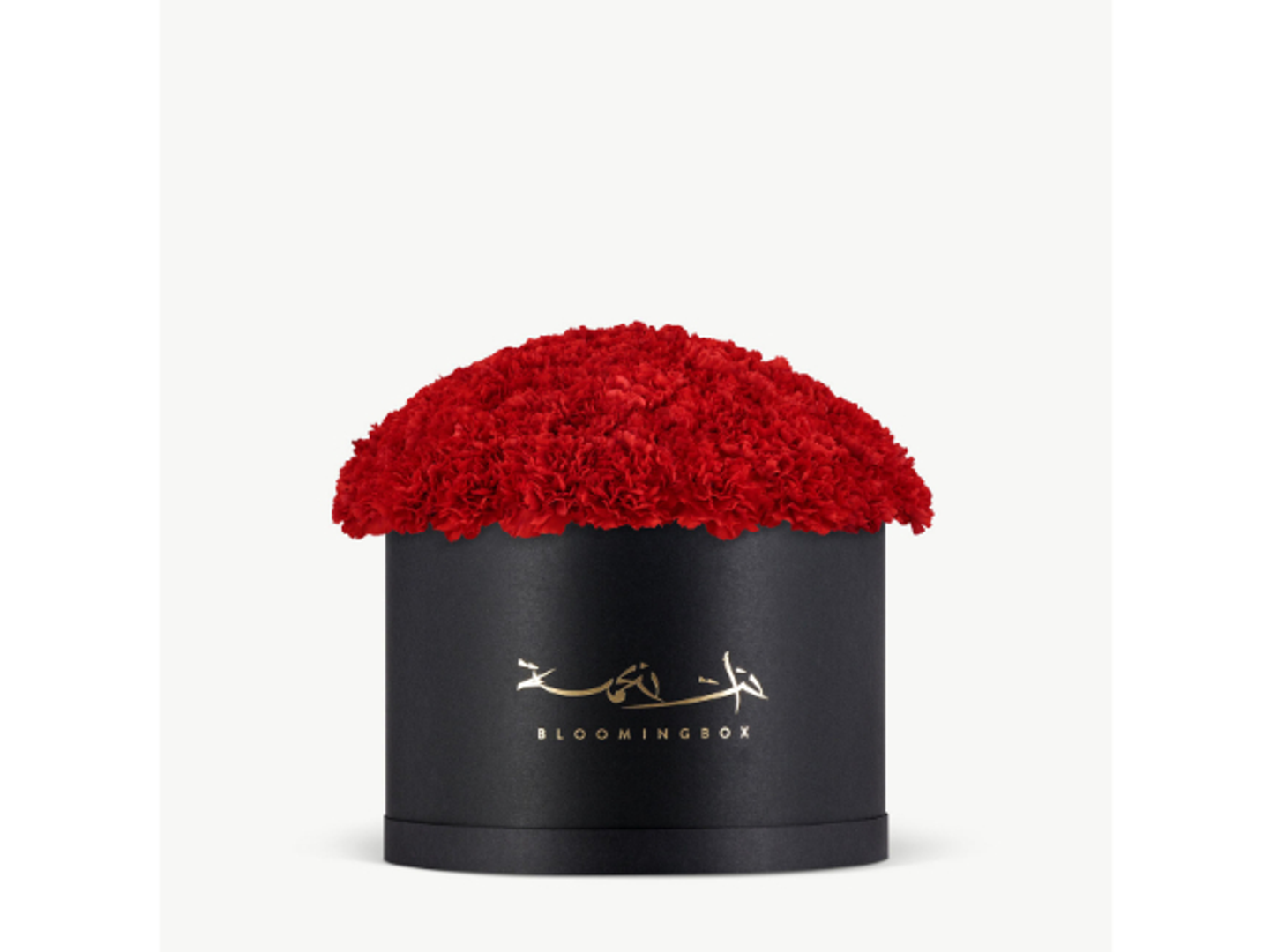 Carnation Box X Large