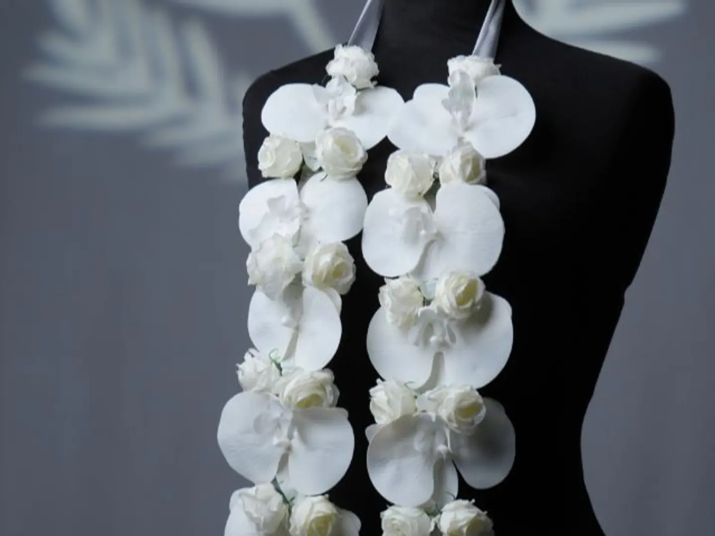 عقد التخرج 3 2026