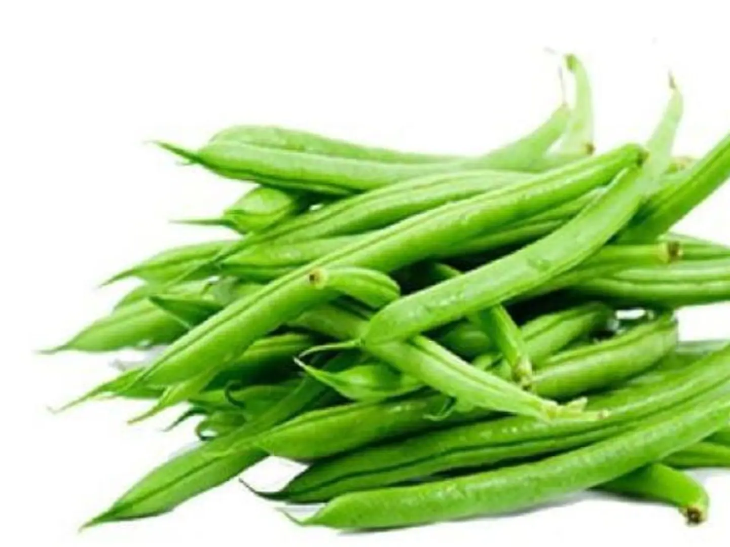 Qassim Beans
