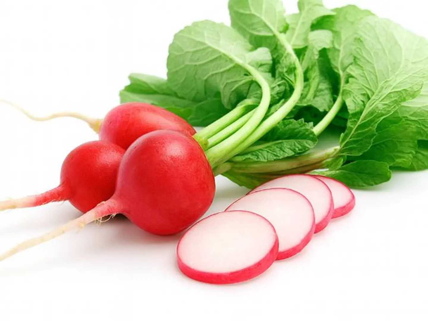 Radish Red Bundle