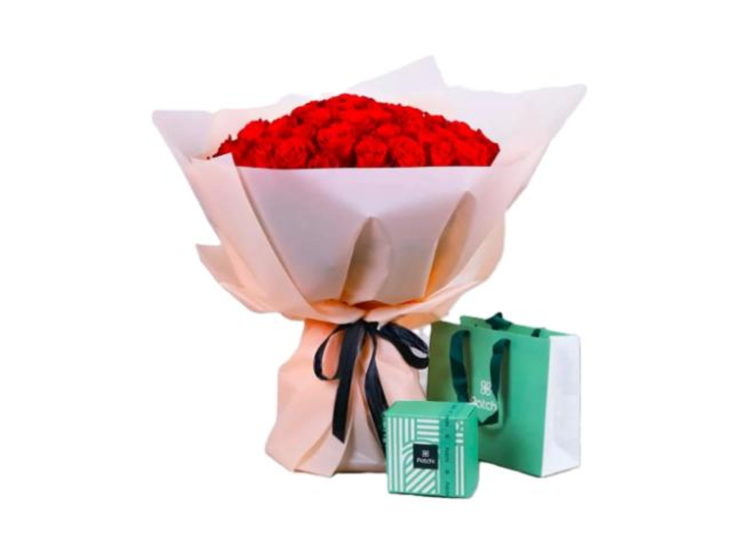 باتشي وورد ايلا