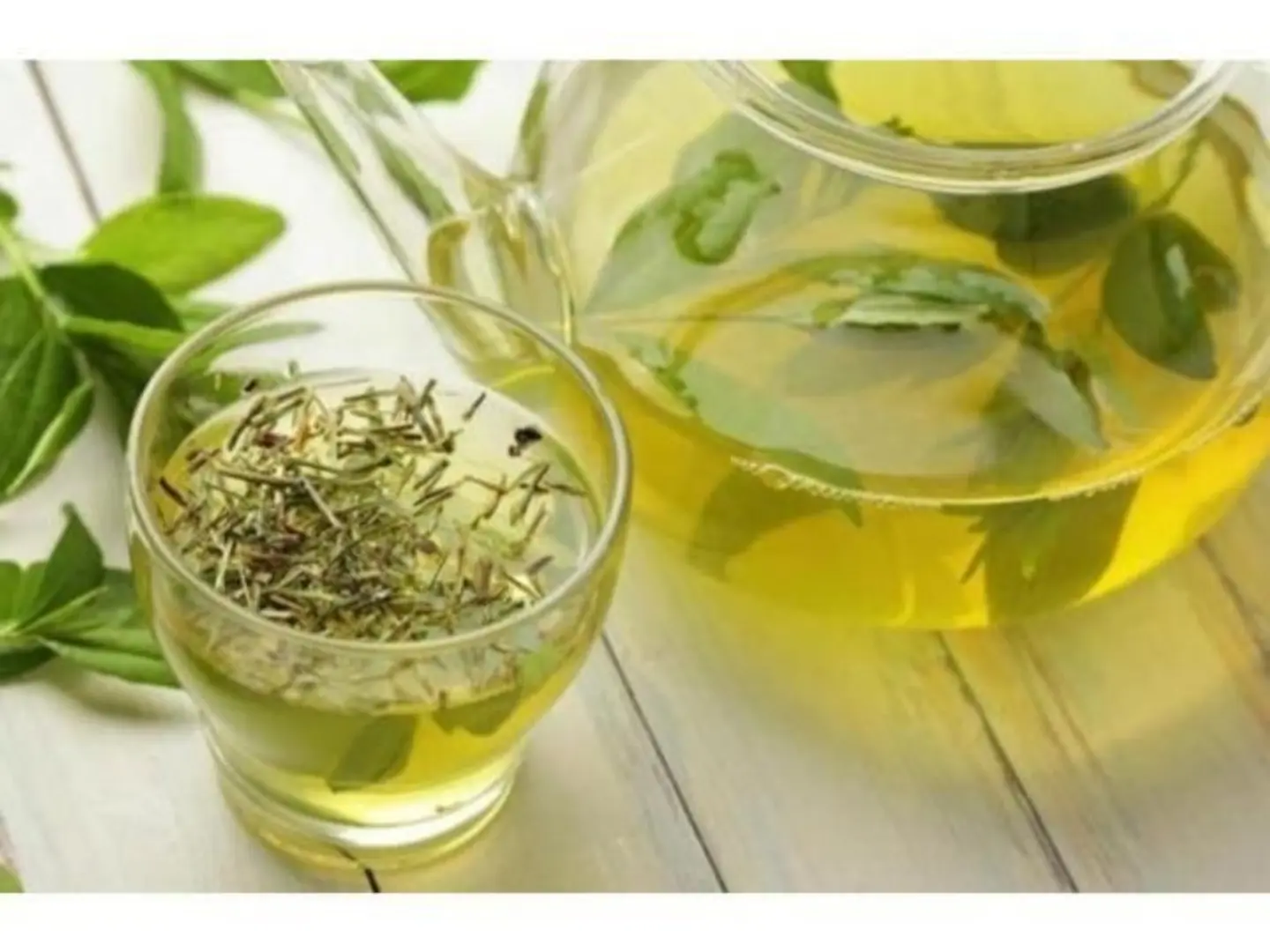 Anise