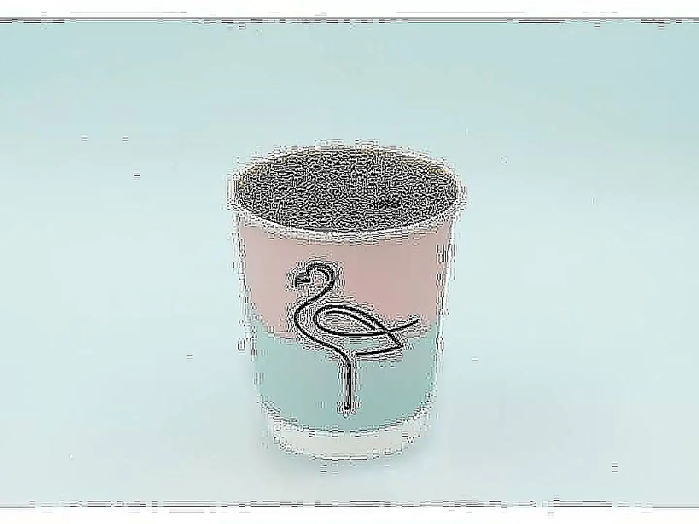 Hot Coffee Of The Day