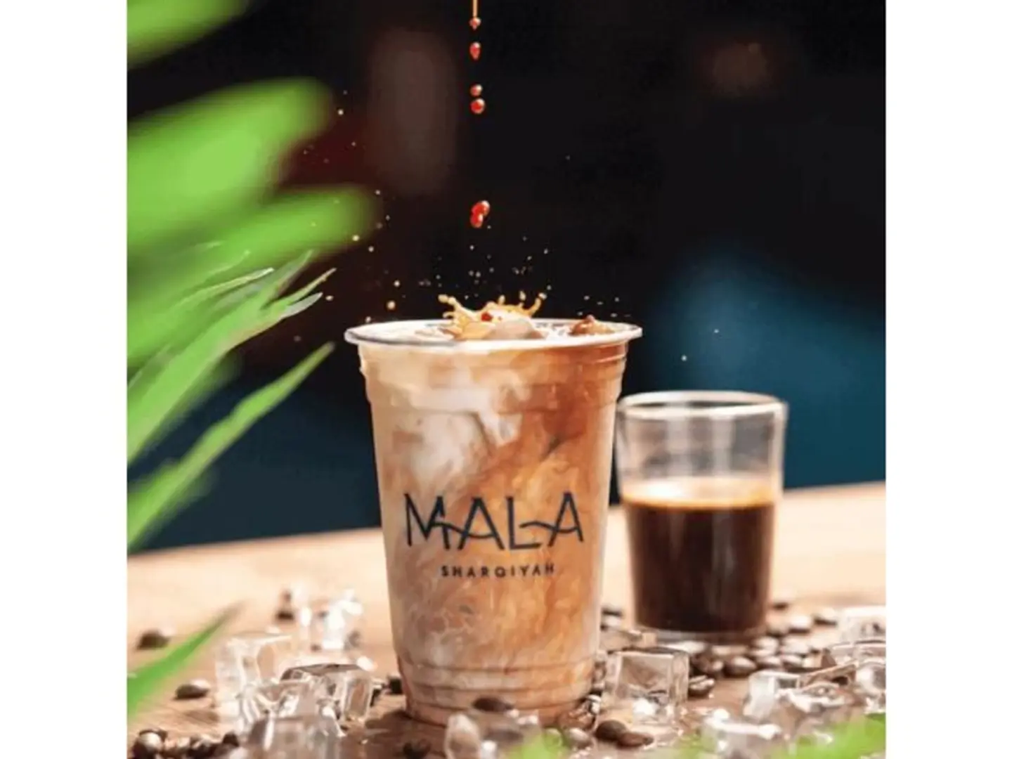 Iced Salted White Latte