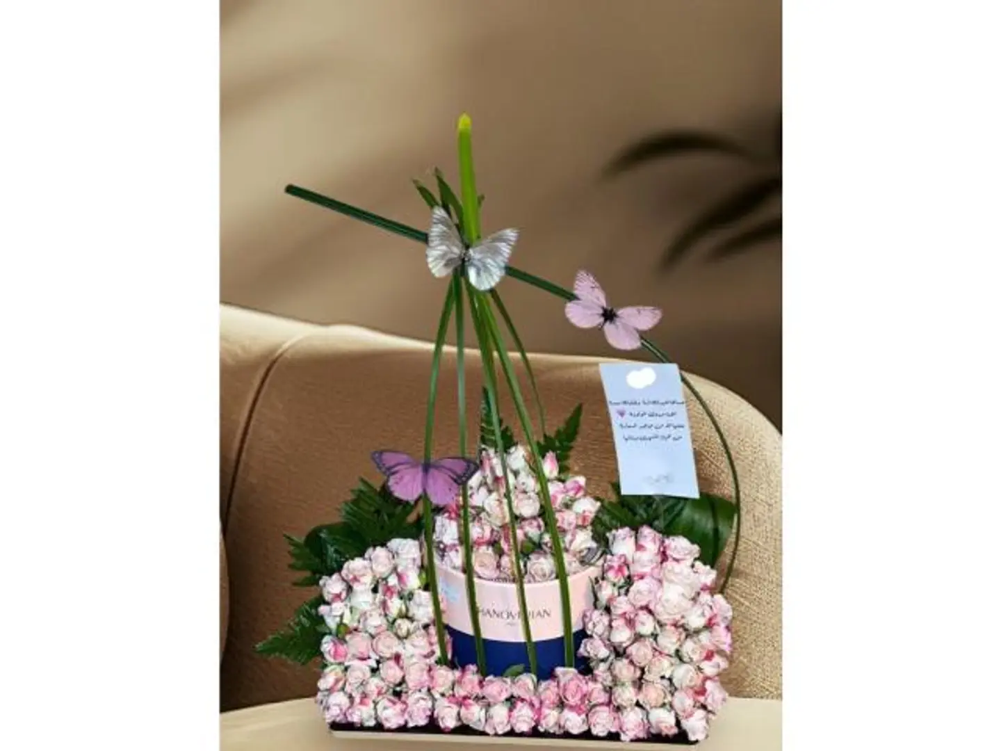 هديه حلا هنوفريان مع ورد بيبي روز 2