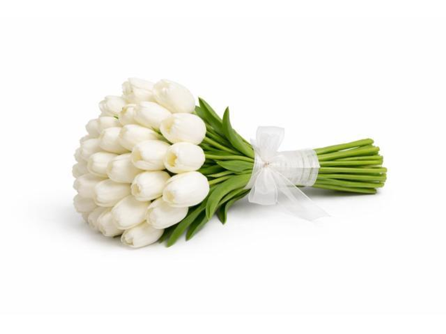 مسكة عروس ورد التوليب