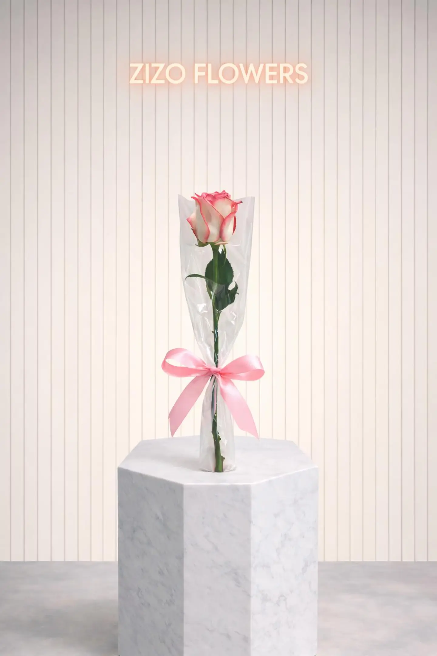 Al Juri Color Bank Distributions