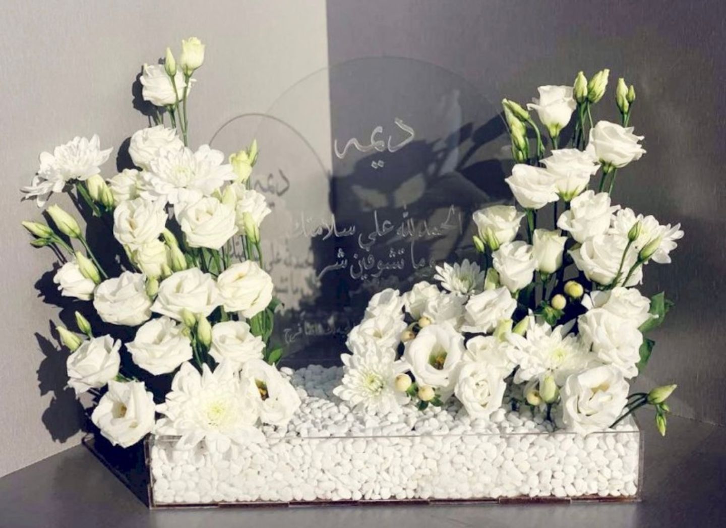 Lamour Tray