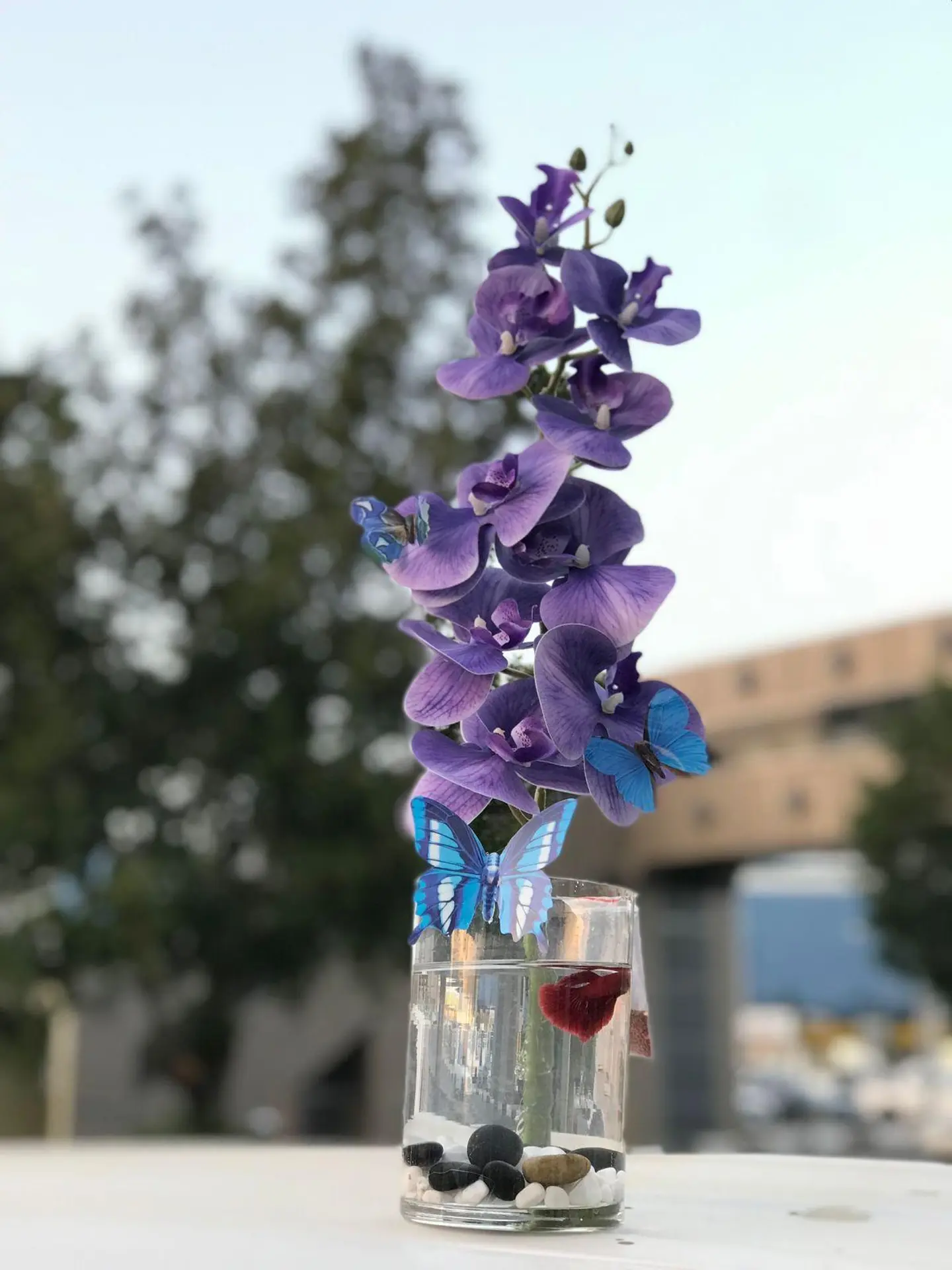 Fish With Faux Rose Vase