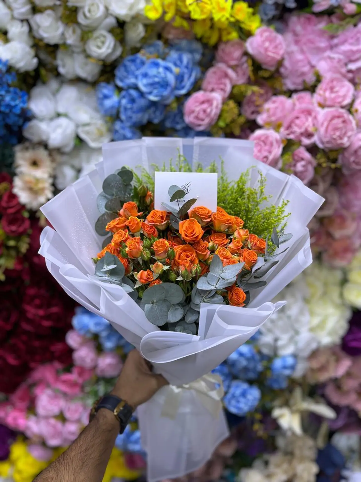 Orange 2