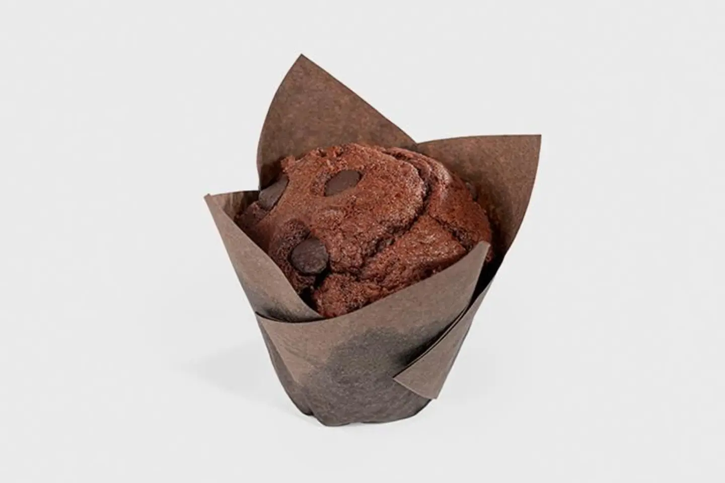 Chocolate Muffin