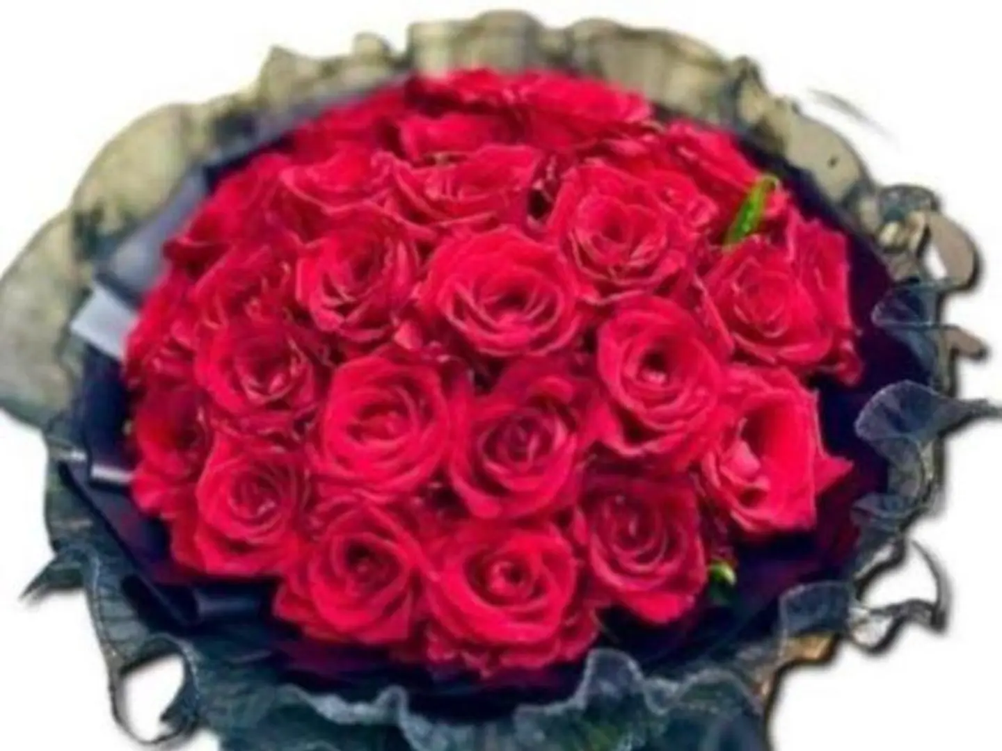 بوكيه الجوري الأحمر لرنا