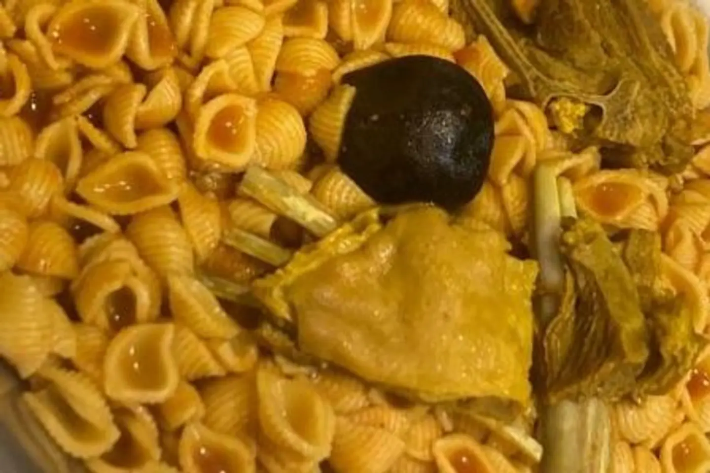 نعيمي مكرونة قواقع