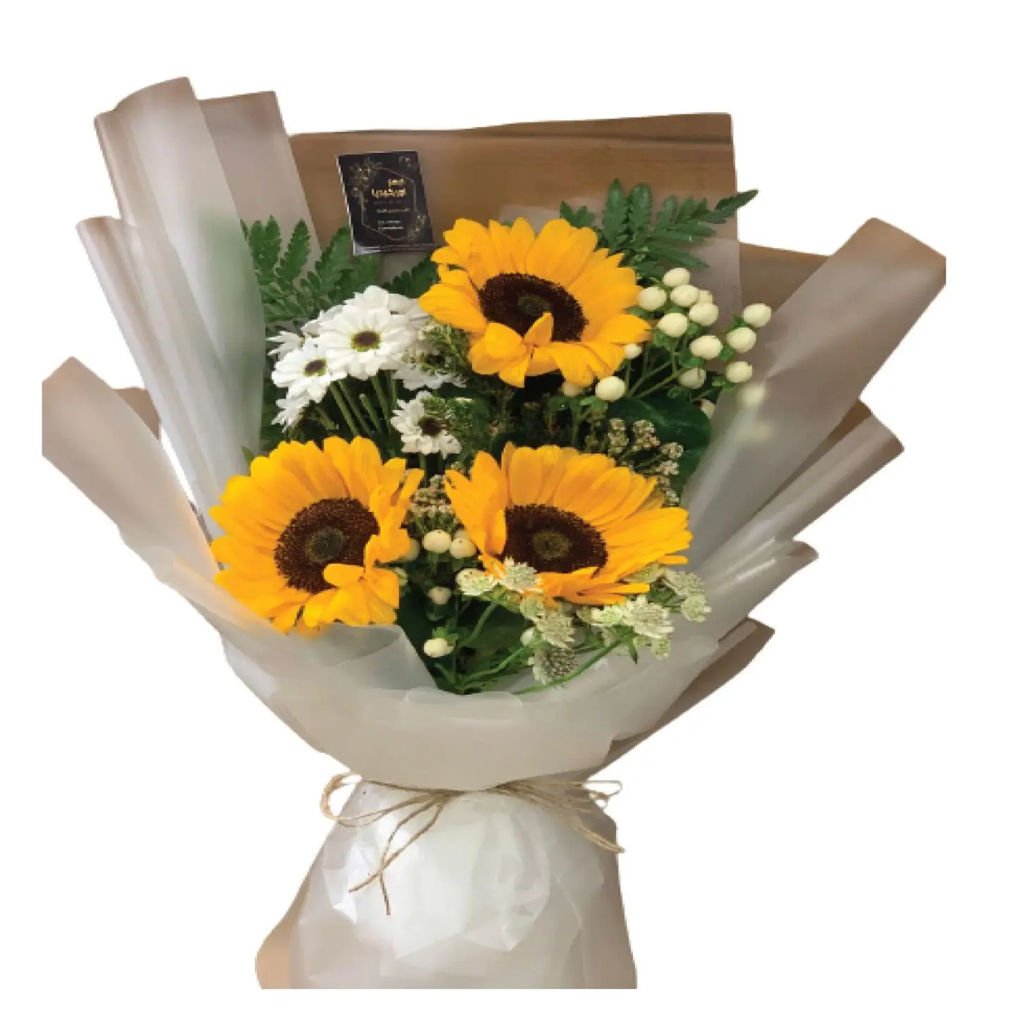 The Rotation Of The Sun