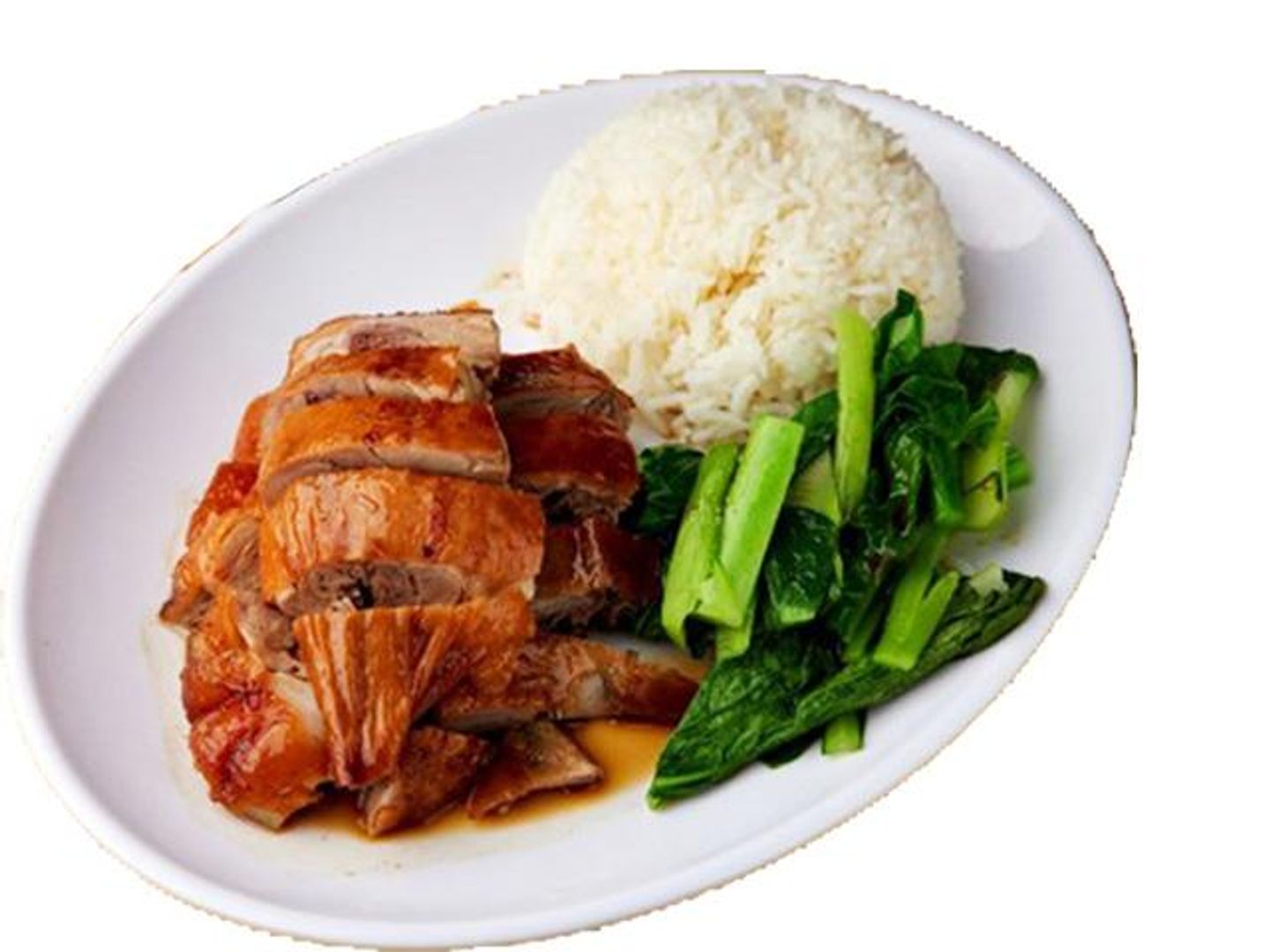 Roast Duck Rice