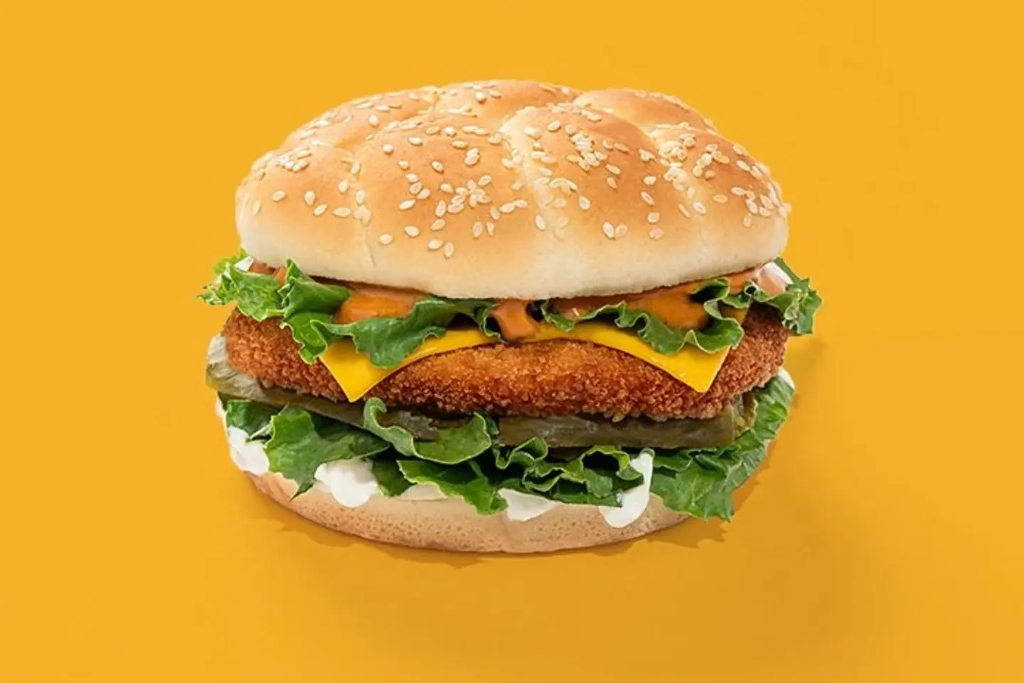 Crispy Chicken Burger With Cheese Sandwich