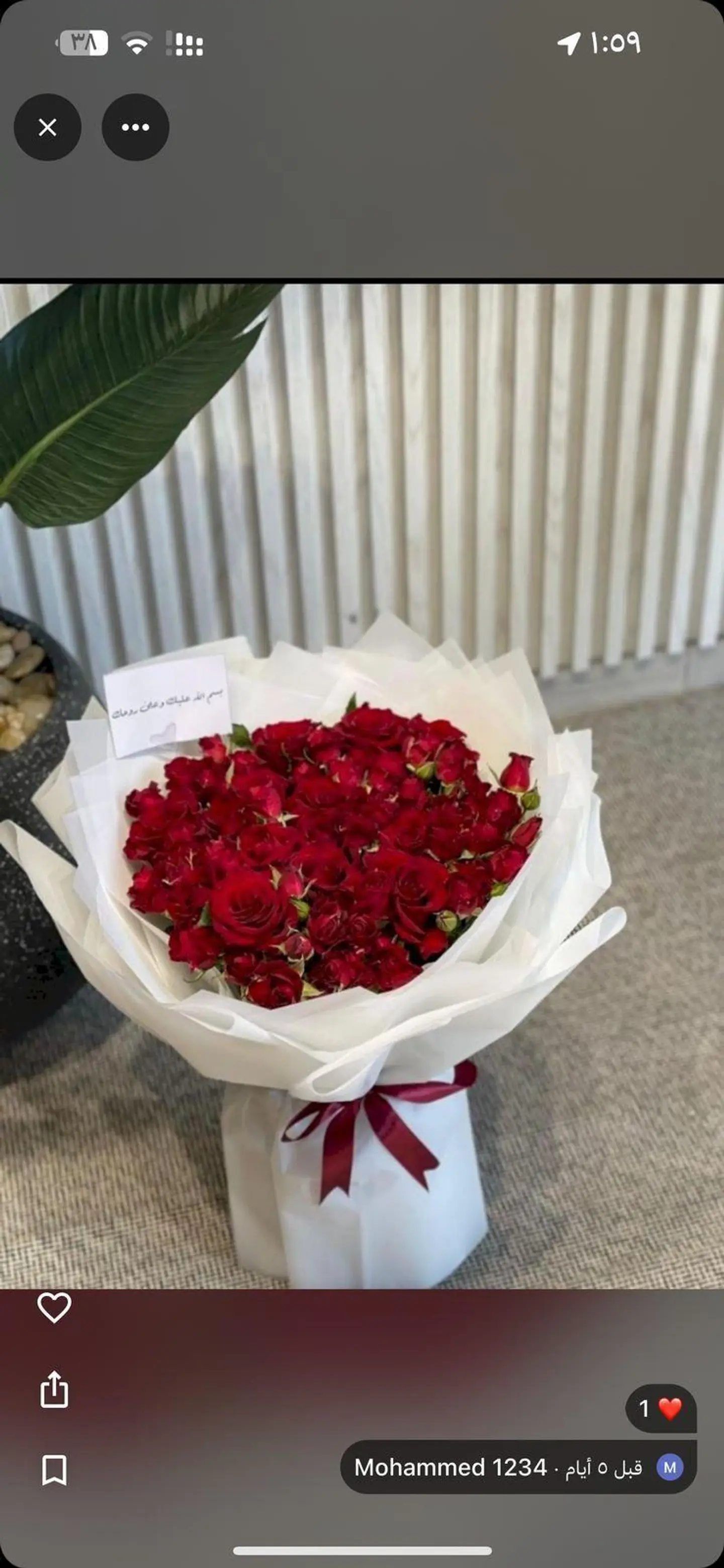 باقة اهداء