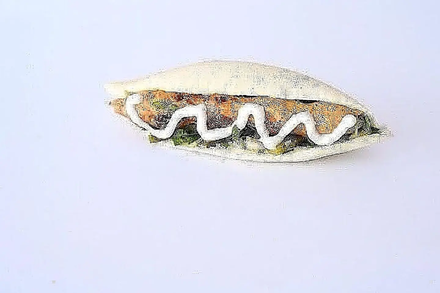 كباب دجاج سبايسي