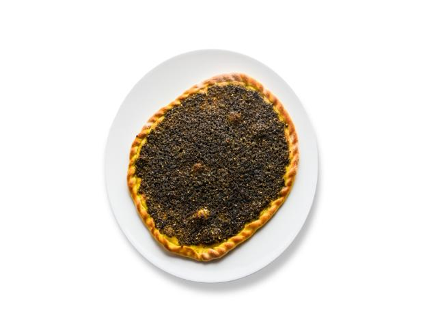 زعتر