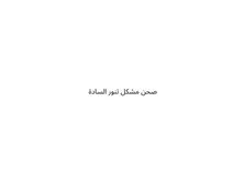 صحن مشكل تنور السادة
