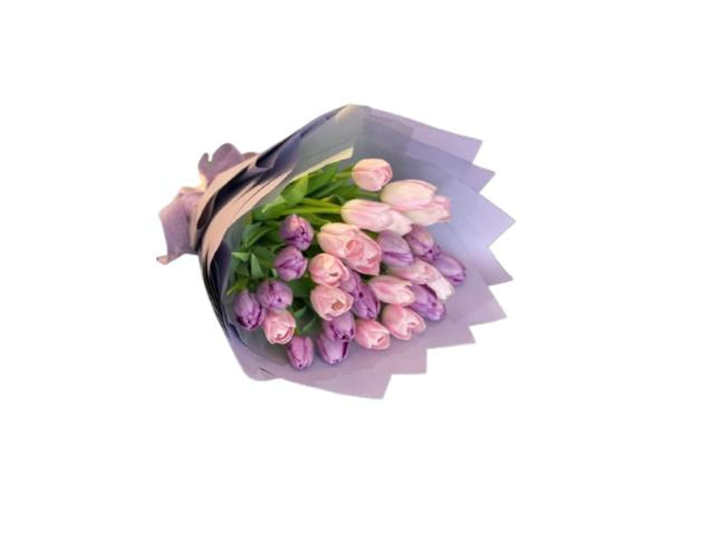 Elegance Package