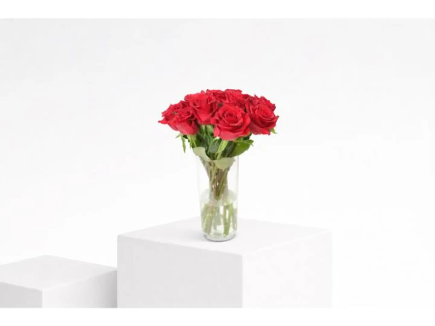 فازة الجوري المميز