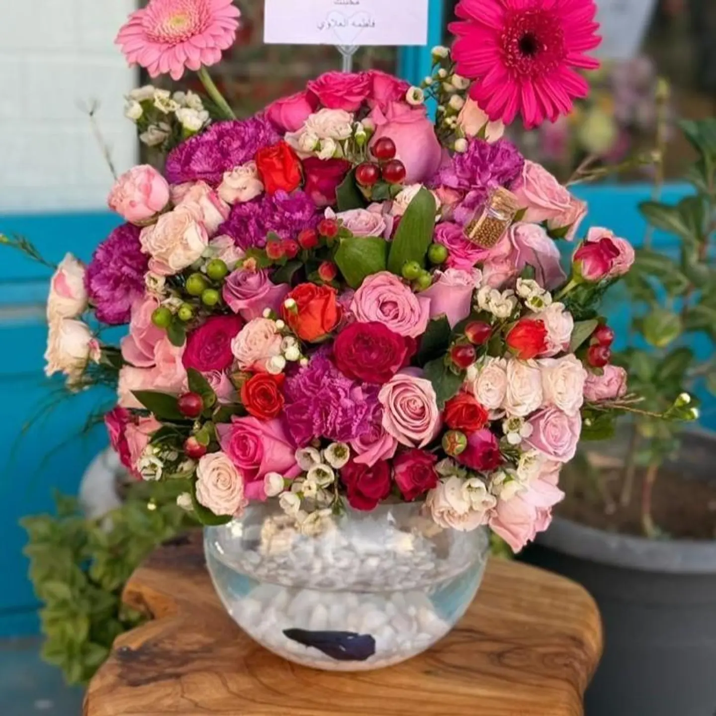 فازة سمك بورد وردي3