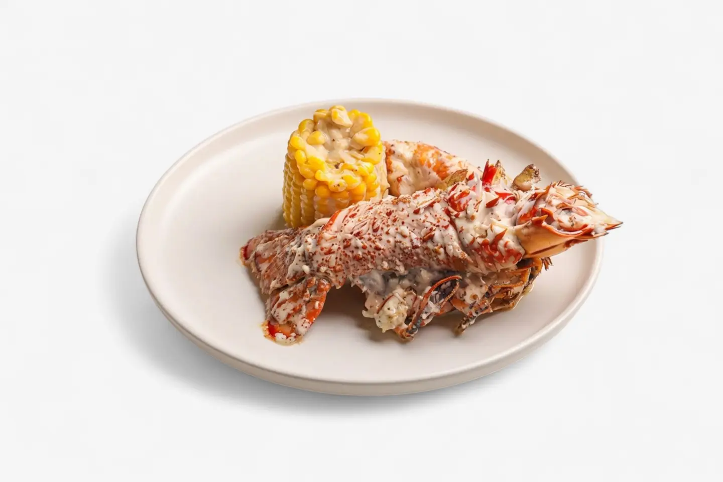 Lobster Bag