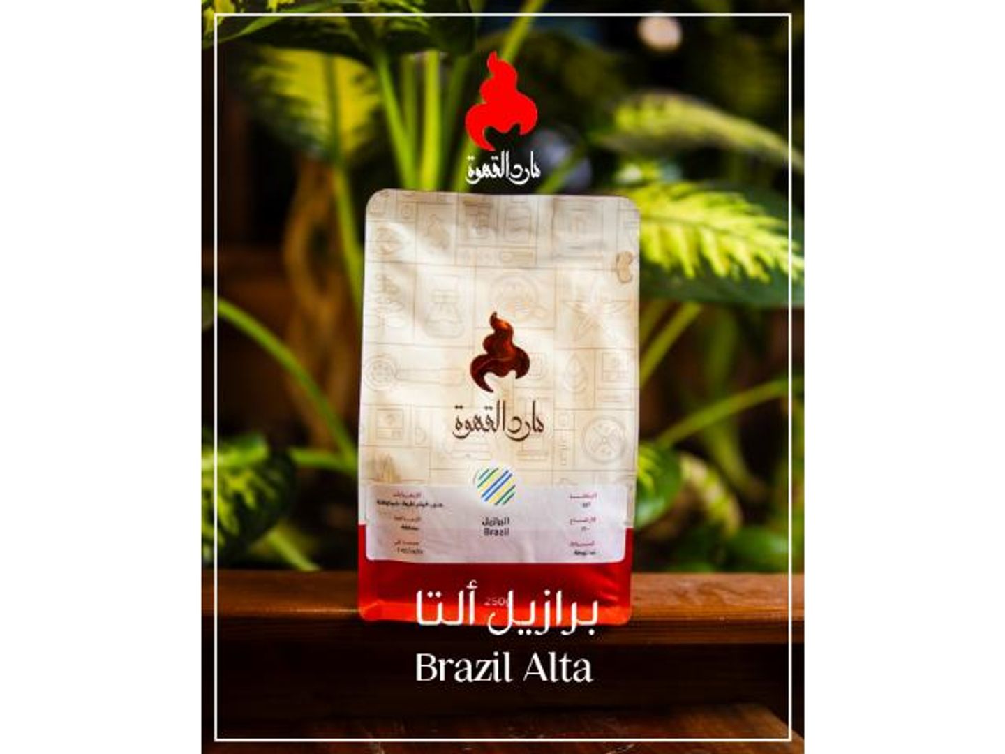 البرازيل ألتا