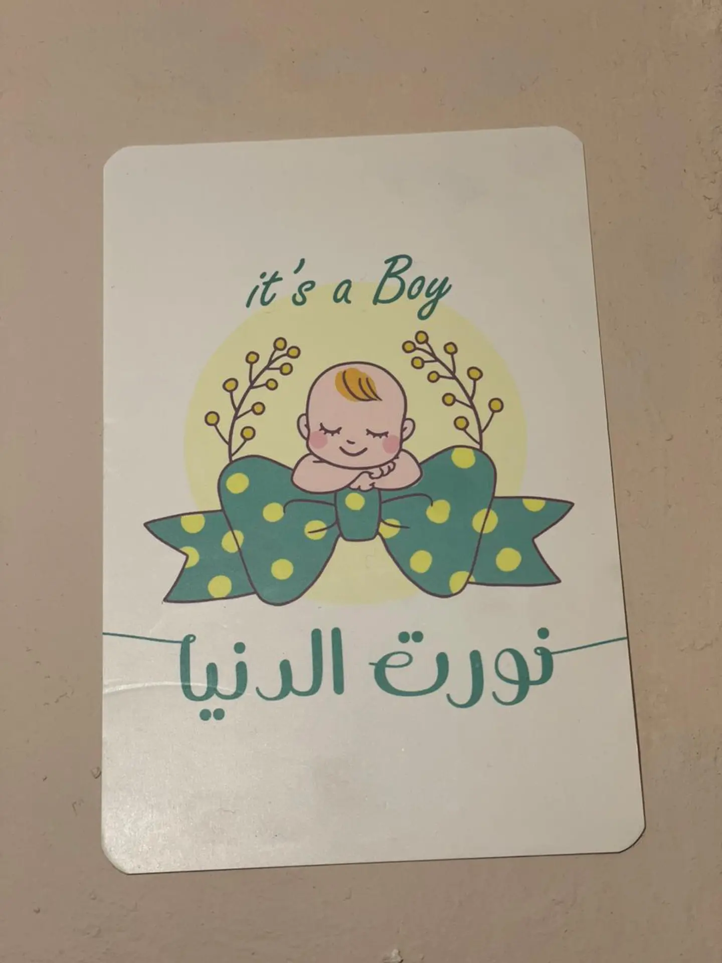 نورت الدنيا