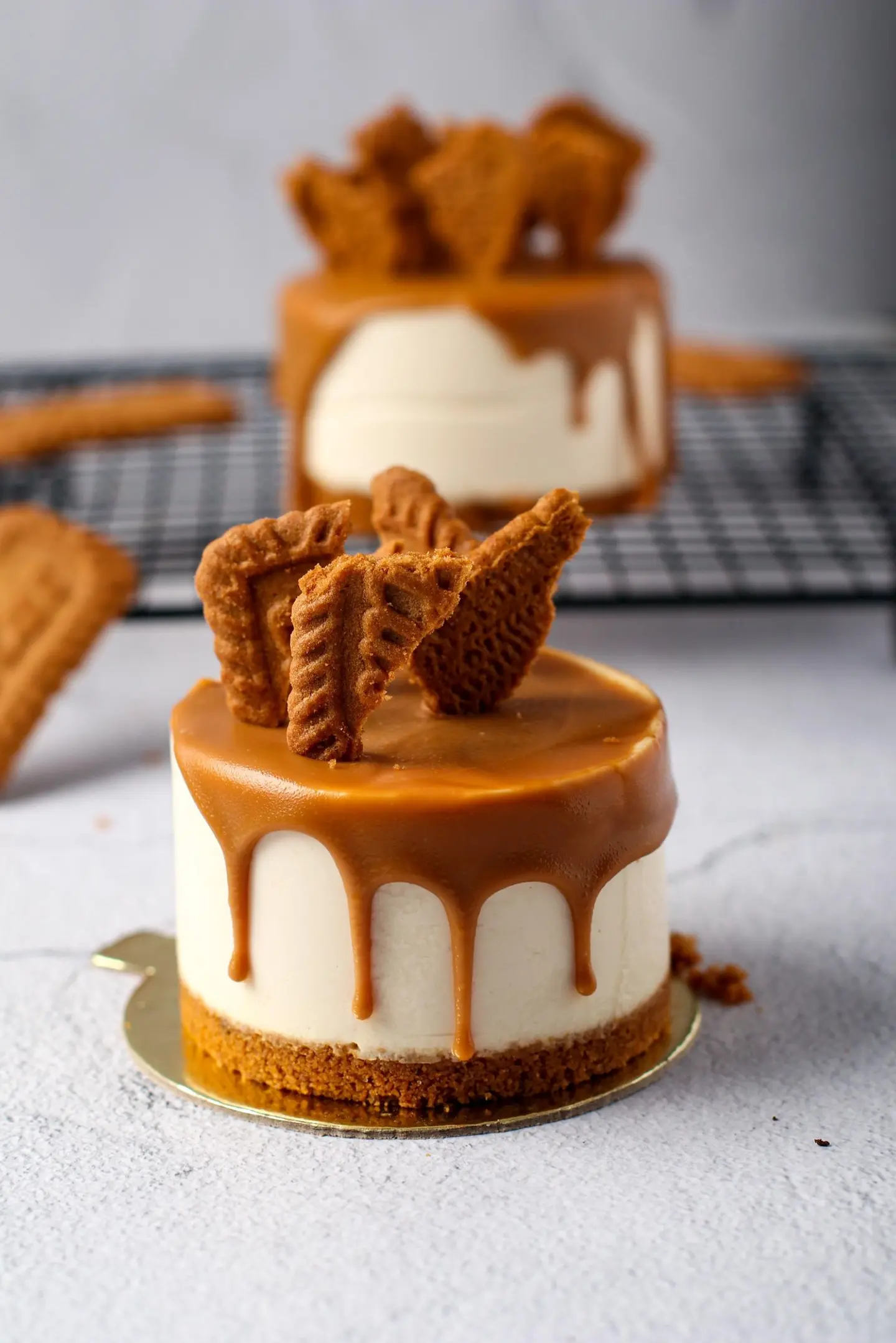 Lotus Cheesecake