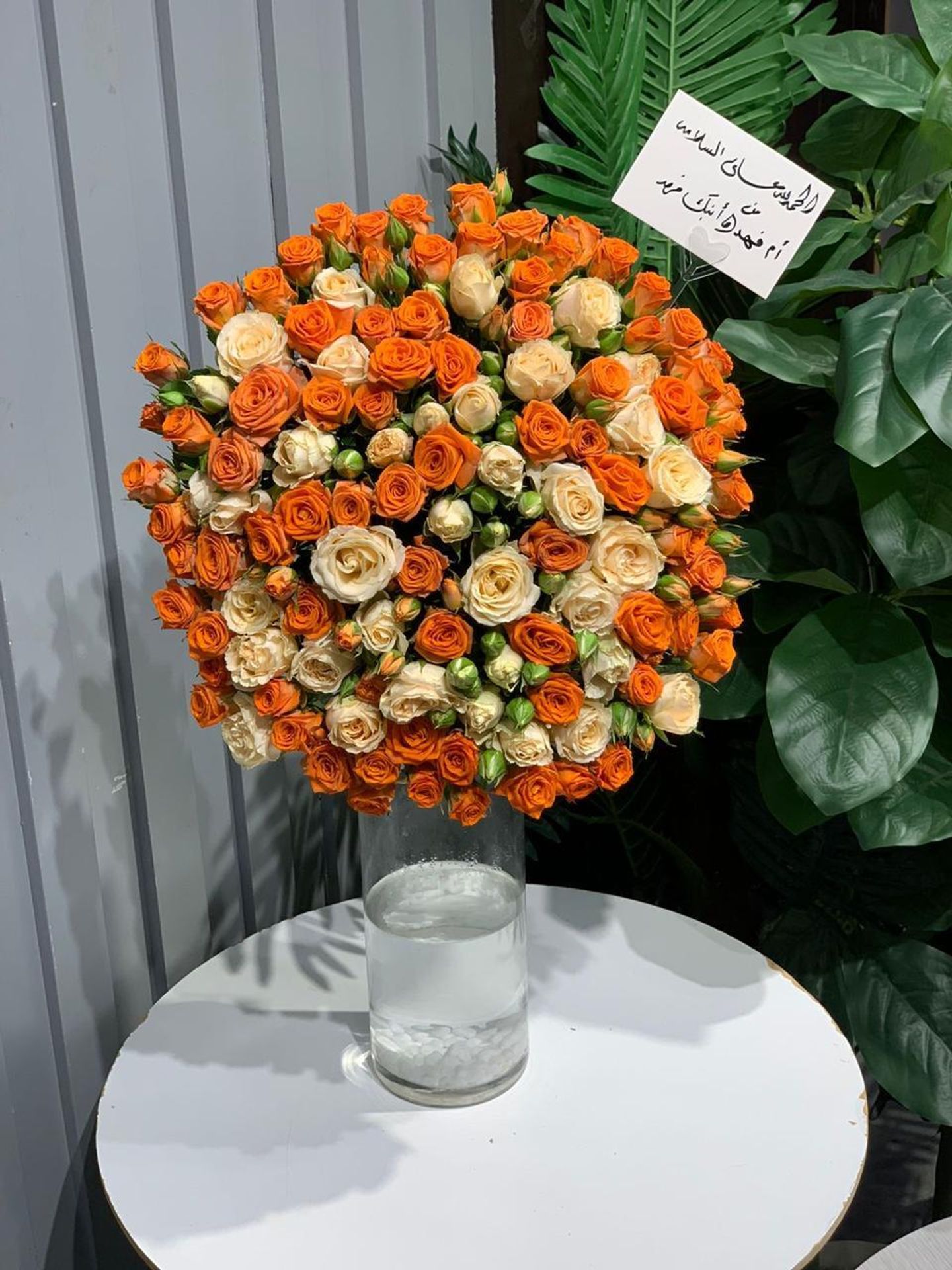 فازة اورنج