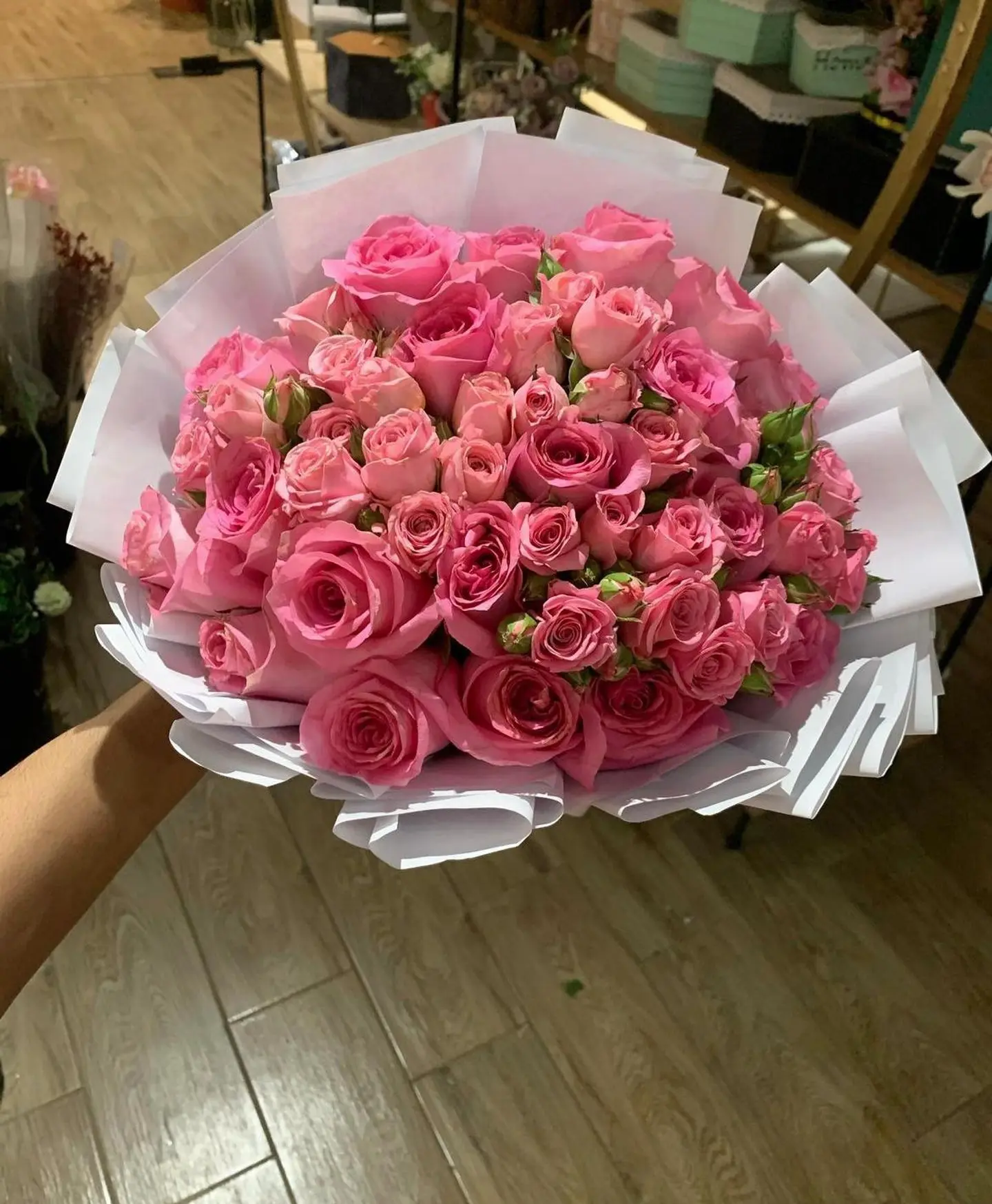 اللون - اللون