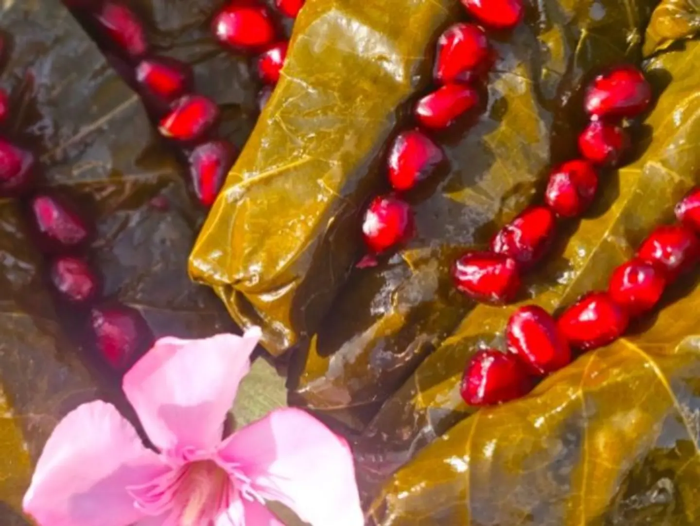 Grape Leaves
