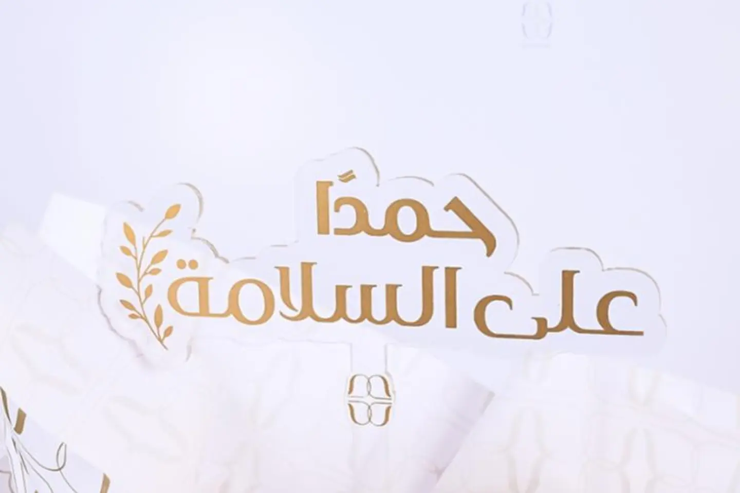 تغريسه الحمدلله على السلامة